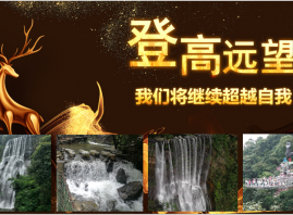 企业风采展示